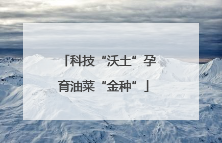 科技“沃土”孕育油菜“金种”